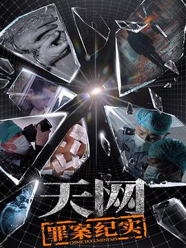 天网罪案纪实(1080)