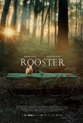 公鸡(蓝光)