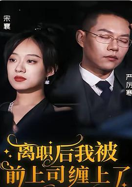 离婚后我被前上司缠上了(蓝光)