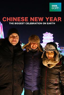 中国新年全球最大庆典(4K)