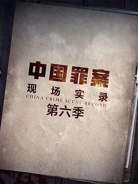 罪案现场实录第六季(1080)
