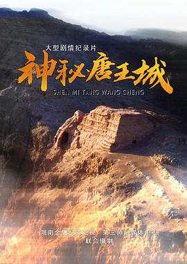 神秘唐王城(蓝光)