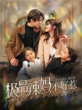 极品辣妈不好惹(1080)