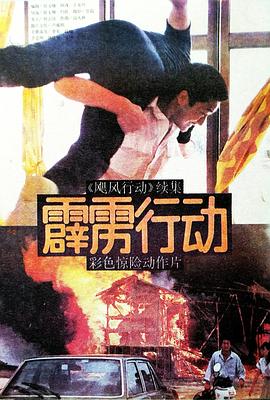 霹雳行动(蓝光)