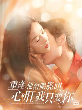 重逢他红眼跪哄心肝我只要你(蓝光)
