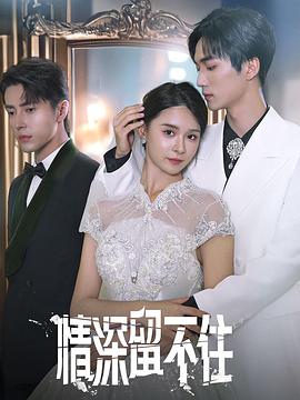 情深留不住(蓝光)