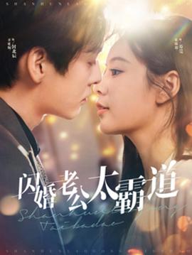 闪婚老公太霸道(蓝光)