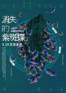 消失的紫斑蝶（蓝光）