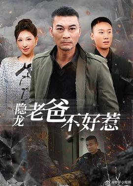隐龙老爸不好惹(蓝光)