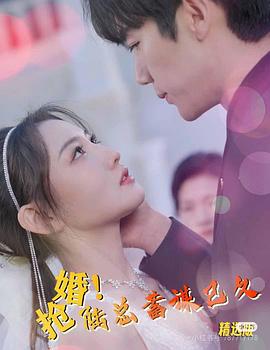 抢婚陆总蓄谋已久(蓝光)