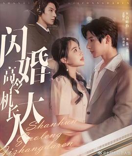 闪婚高冷机长大人（蓝光）