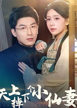 天上掉了个小仙妻(蓝光)
