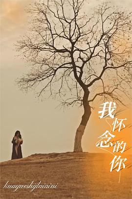 我怀念的你跨越时间来爱你(1080)