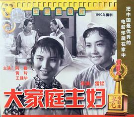 大家庭主妇(蓝光)