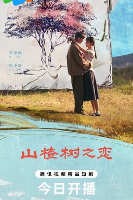 山楂树之恋（1080）