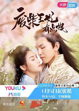 废柴王妃有点拽(蓝光)