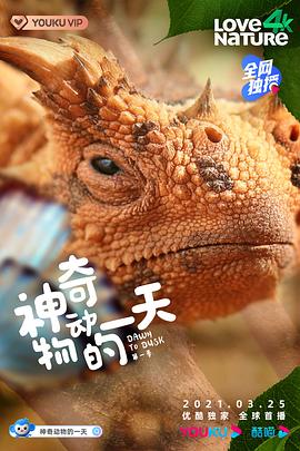 神奇动物的一天第一季(蓝光)