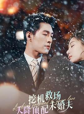 天降顶配未婚夫(1080)