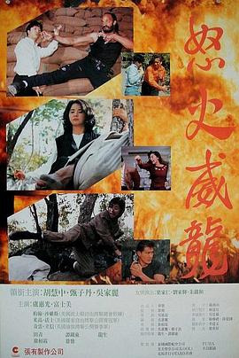 怒火威龙怒火威龍(1080)