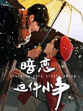 暗恋这件小事(1080)
