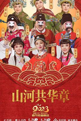 中央广播电视总台2023年春节联欢晚会(1080)