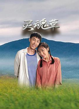灵魂草(蓝光)