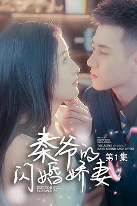 秦爷的闪婚娇妻(蓝光)