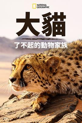 猫科动物奇妙的动物家族(蓝光)