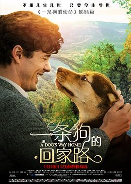 一条狗的回家路原声版（4K）