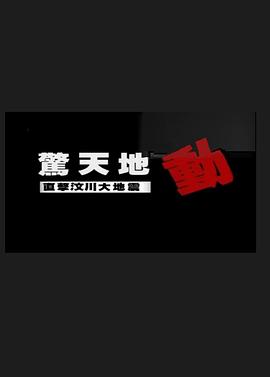 惊天地动直击汶川大地震(1080)