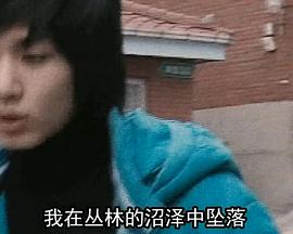 我的歌(蓝光)