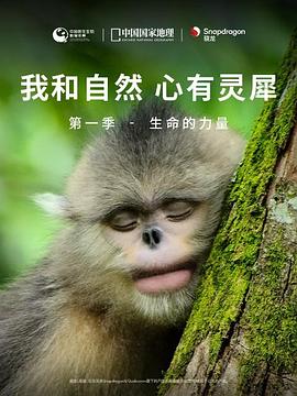 我和自然心有灵犀第一季生命的力量(蓝光)