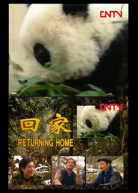 回家(蓝光)
