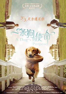 一条狗的使命原声版(1080)