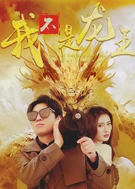 我不是龙王(1080)
