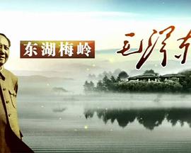 东湖梅岭毛泽东(1080)