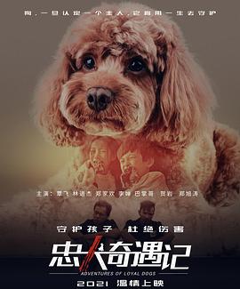 忠犬奇遇记(1080)