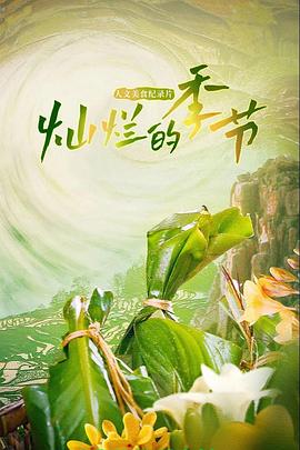 灿烂的季节记录片(蓝光)