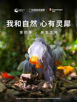 我和自然心有灵犀第四季共生之地(1080)