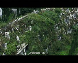 赵小康的广场舞(蓝光)