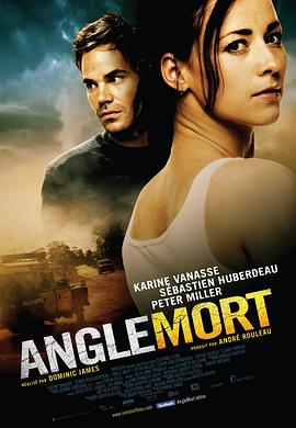 盲点anglemort(1080)
