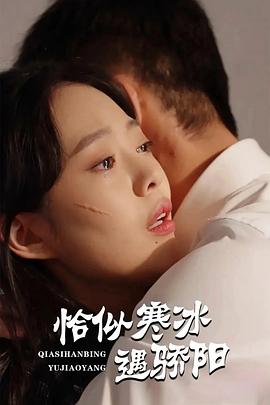 恰似寒冰遇骄阳(1080)
