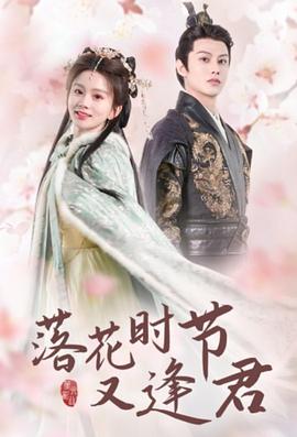 落花时节又逢君(蓝光)