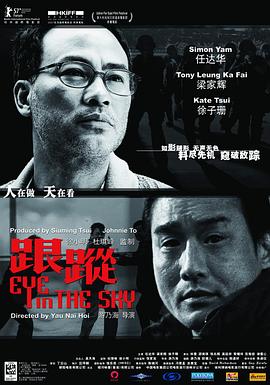 跟踪跟蹤(1080)