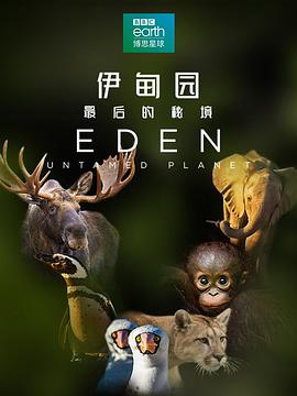 伊甸园最后的秘境(1080)