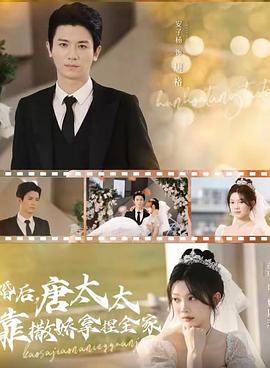总裁的小萌妻（蓝光）