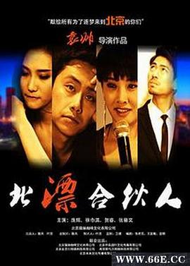 北漂合伙人(1080)