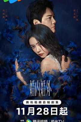 婚内婚外2024（蓝光）