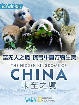 未至之境(蓝光)