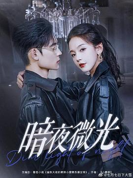 暗夜微光(蓝光)
